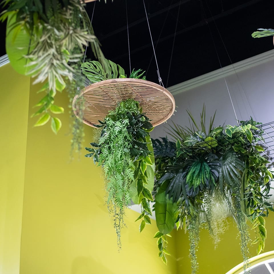 Lush hanging plants spill from woven baskets against a bright lime-green restaurant wall beside an arched window.